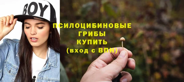 не бодяженный Кукмор
