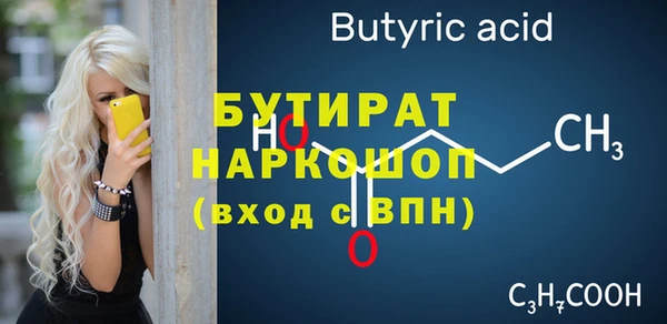 крисы Кулебаки