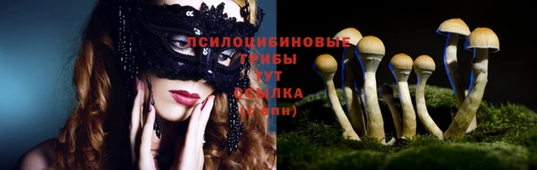 не бодяженный Кукмор