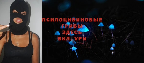 не бодяженный Кукмор