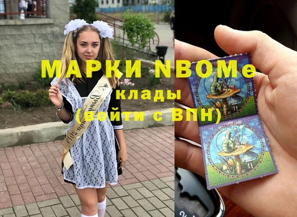 крисы Кулебаки