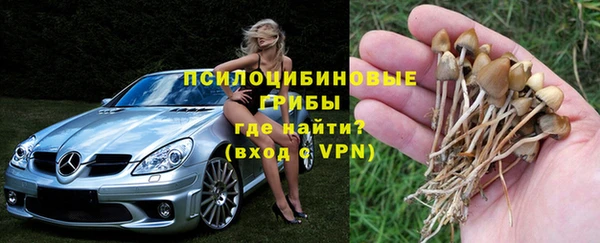 крисы Кулебаки