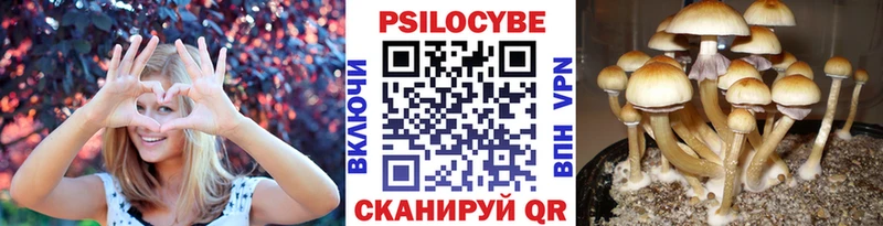 Галлюциногенные грибы Psilocybine cubensis  маркетплейс клад  Славянск-на-Кубани  где купить наркотик 