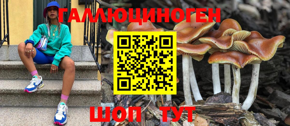 Псилоцибиновые грибы Psilocybine cubensis  Славянск-на-Кубани 