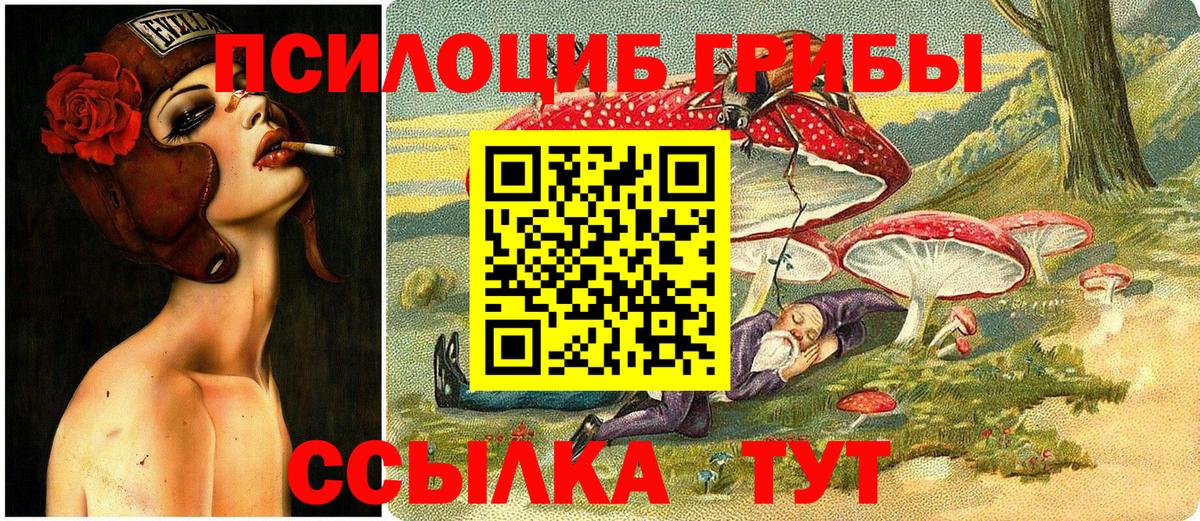 Галлюциногенные грибы мицелий  Вход с VPN  Славянск-на-Кубани  купить   Псилоцибиновые грибы прущие грибы 